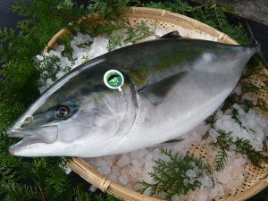 %e3%81%8b%e3%81%bc%e3%81%99%e3%81%b6%e3%82%8a