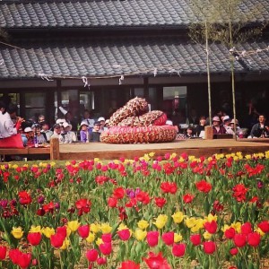 チューリップまつり2017