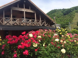 モカコーヒーバラ